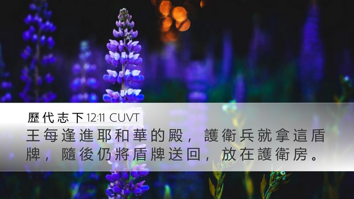 歷 代 志 下 12:11 CUVT Desktop Wallpaper - 王 每 逢 進 耶 和 華 的 殿 ， 護 衛 - Desktop Bible Verse Wallpaper