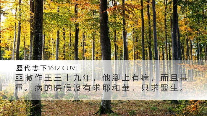 歷 代 志 下 16:12 CUVT Desktop Wallpaper - 亞 撒 作 王 三 十 九 年 ， 他 腳 上 - Desktop Bible Verse Wallpaper