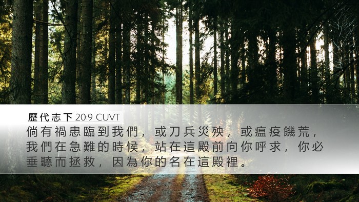 歷 代 志 下 20:9 CUVT Bible Verse Image