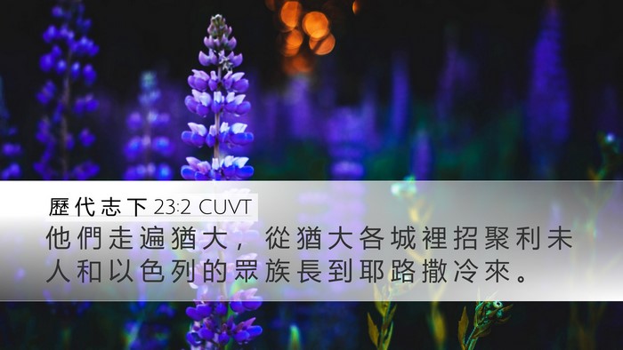 歷 代 志 下 23:2 CUVT Bible Verse Image