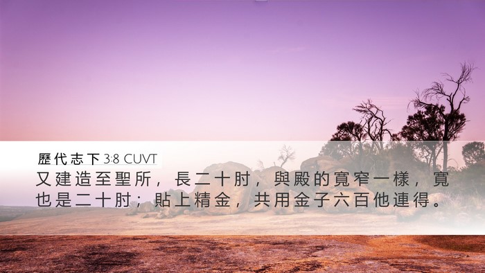 歷 代 志 下 3:8 CUVT Bible Verse Image