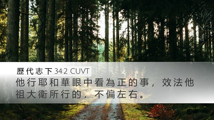 歷 代 志 下 34:2 CUVT Bible Verse Image