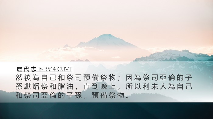 歷 代 志 下 35:14 CUVT Desktop Wallpaper - 然 後 為 自 己 和 祭 司 預 備 祭 物 - Desktop Bible Verse Wallpaper
