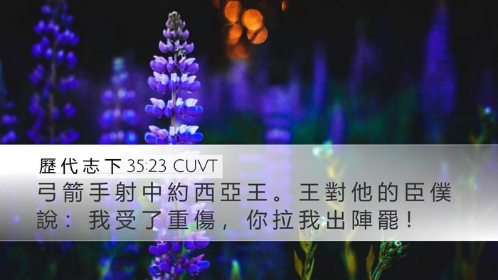 歷 代 志 下 35:23 CUVT Bible Verse Image