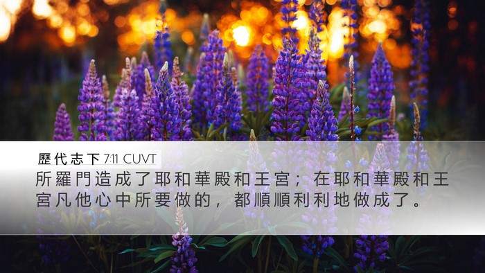 歷 代 志 下 7:11 CUVT Desktop Wallpaper - 所 羅 門 造 成 了 耶 和 華 殿 和 王 - Desktop Bible Verse Wallpaper