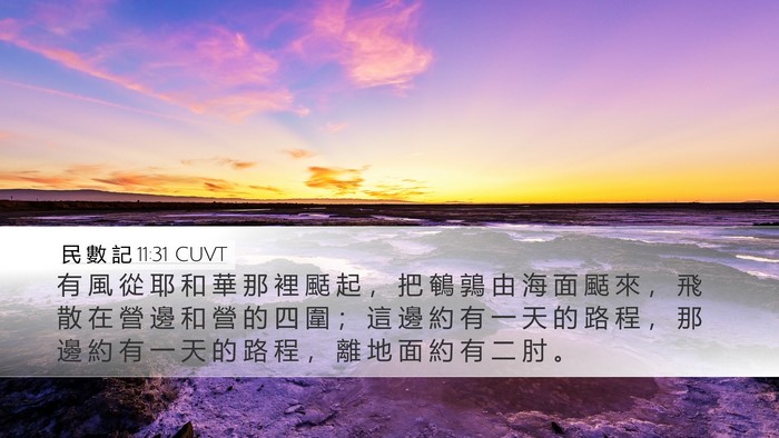 民 數 記 11:31 CUVT Bible Verse Image