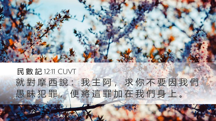 民 數 記 12:11 CUVT Bible Verse Image