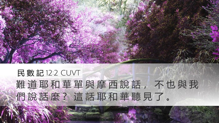 民 數 記 12:2 CUVT Bible Verse Image