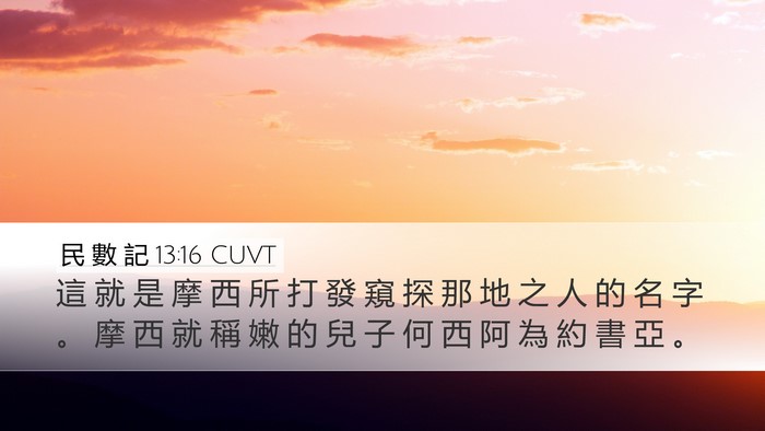 民 數 記 13:16 CUVT Bible Verse Image