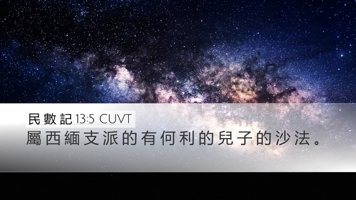 民 數 記 13:5 CUVT Desktop Wallpaper - 屬 西 緬 支 派 的 有 何 利 的 兒 子 - Desktop Bible Verse Wallpaper