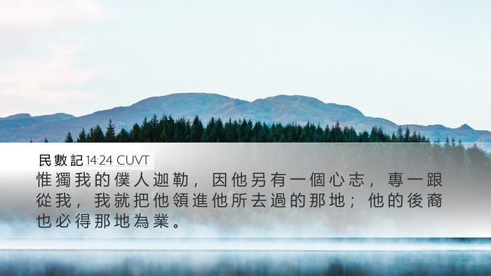 民 數 記 14:24 CUVT Bible Verse Image