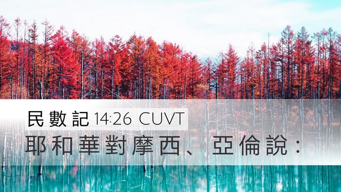 民 數 記 14:26 CUVT Desktop Wallpaper - 耶 和 華 對 摩 西 、 亞 倫 說 - Desktop Bible Verse Wallpaper