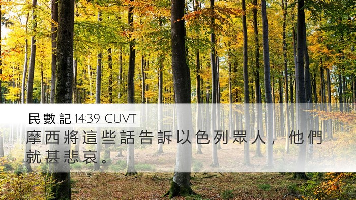 民 數 記 14:39 CUVT Bible Verse Image
