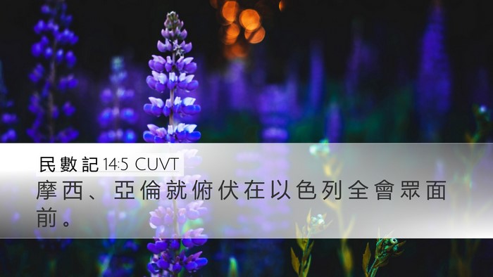民 數 記 14:5 CUVT Bible Verse Image