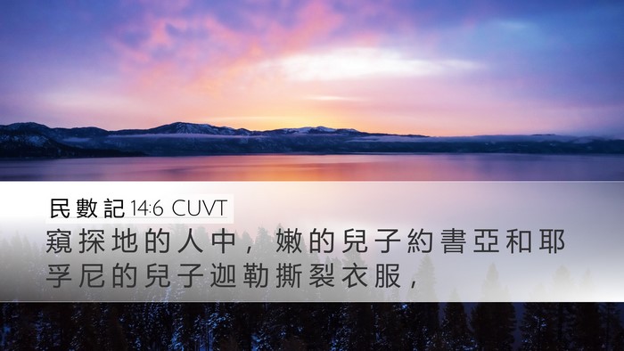 民 數 記 14:6 CUVT Bible Verse Image