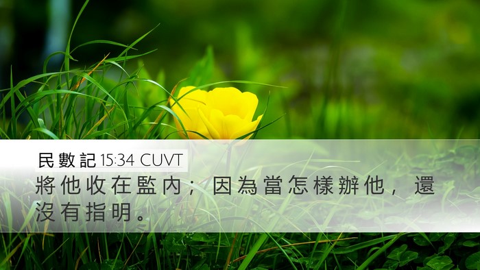 民 數 記 15:34 CUVT Bible Verse Image
