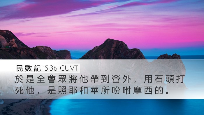 民 數 記 15:36 CUVT Desktop Wallpaper - 於 是 全 會 眾 將 他 帶 到 營 外 ， - Desktop Bible Verse Wallpaper