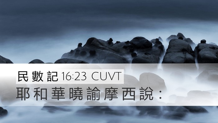 民 數 記 16:23 CUVT Bible Verse Image