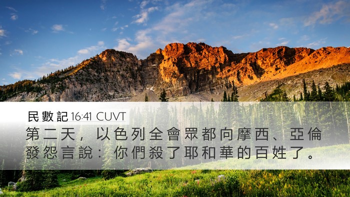 民 數 記 16:41 CUVT Bible Verse Image