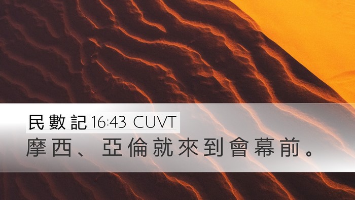 民 數 記 16:43 CUVT Bible Verse Image