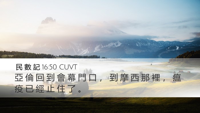民 數 記 16:50 CUVT Desktop Wallpaper - 亞 倫 回 到 會 幕 門 口 ， 到 摩 西 - Desktop Bible Verse Wallpaper