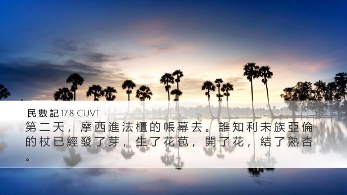 民 數 記 17:8 CUVT Bible Verse Image