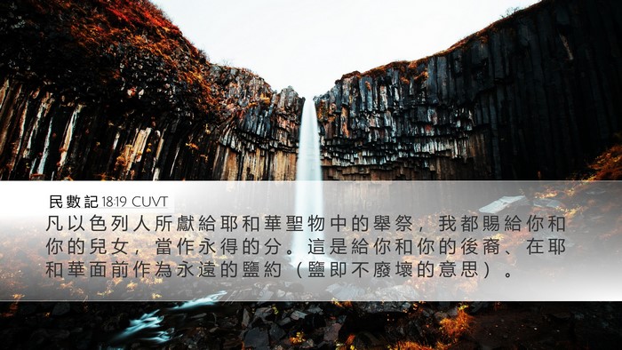 民 數 記 18:19 CUVT Bible Verse Image