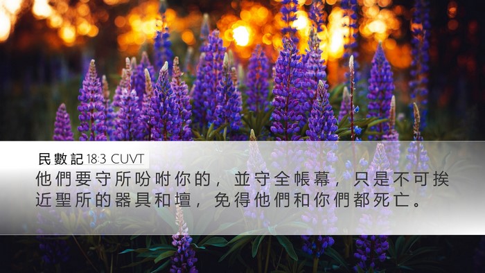 民 數 記 18:3 CUVT Bible Verse Image