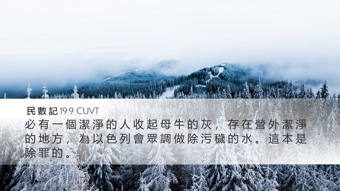 民 數 記 19:9 CUVT Bible Verse Image