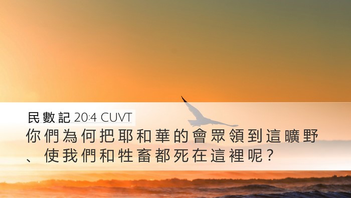 民 數 記 20:4 CUVT Bible Verse Image