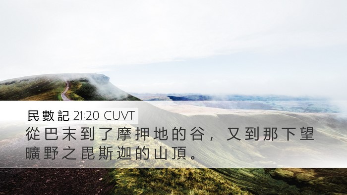 民 數 記 21:20 CUVT Bible Verse Image
