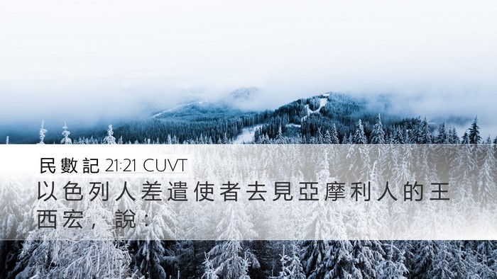 民 數 記 21:21 CUVT Bible Verse Image