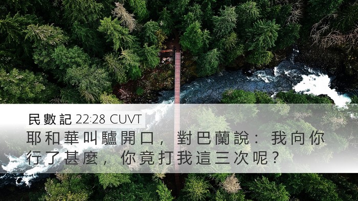 民 數 記 22:28 CUVT Bible Verse Image