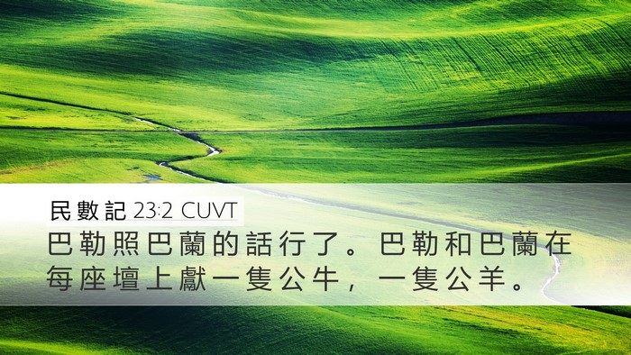 民 數 記 23:2 CUVT Desktop Wallpaper - 巴 勒 照 巴 蘭 的 話 行 了 。 巴 勒 - Desktop Bible Verse Wallpaper
