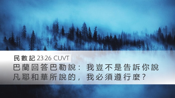 民 數 記 23:26 CUVT Desktop Wallpaper - 巴 蘭 回 答 巴 勒 說 ： 我 豈 不 是 - Desktop Bible Verse Wallpaper