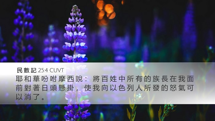 民 數 記 25:4 CUVT Bible Verse Image