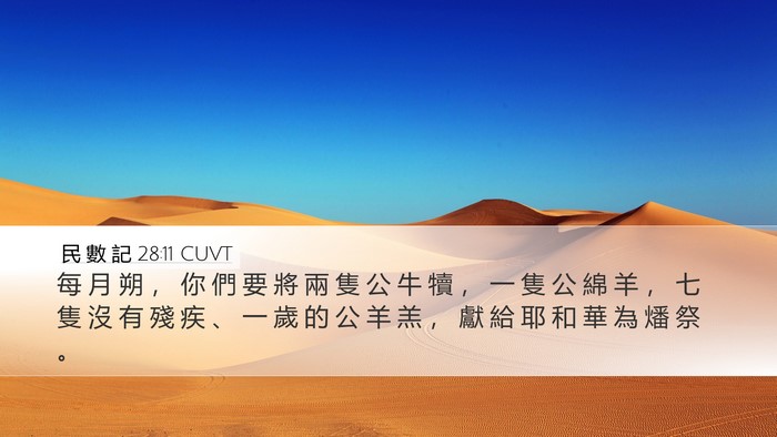 民 數 記 28:11 CUVT Bible Verse Image