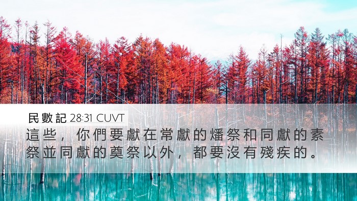 民 數 記 28:31 CUVT Bible Verse Image