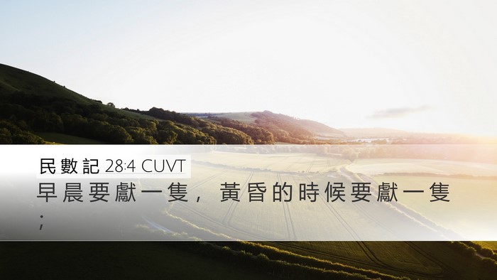 民 數 記 28:4 CUVT Desktop Wallpaper - 早 晨 要 獻 一 隻 ， 黃 昏 的 時 候 - Desktop Bible Verse Wallpaper
