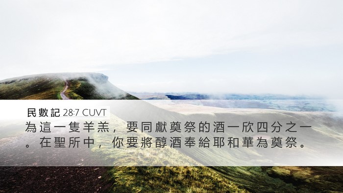 民 數 記 28:7 CUVT Bible Verse Image