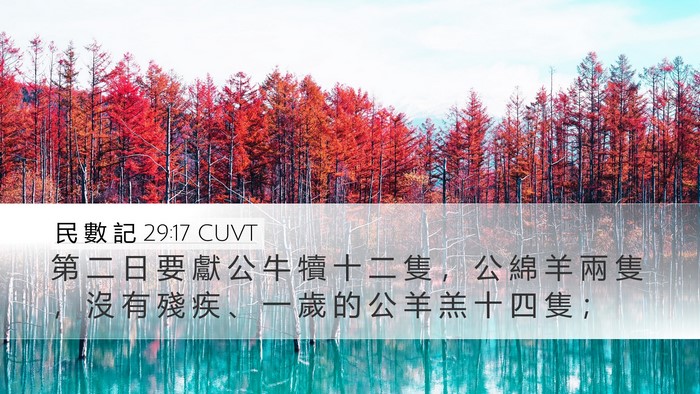 民 數 記 29:17 CUVT Desktop Wallpaper - 第 二 日 要 獻 公 牛 犢 十 二 隻 ， - Desktop Bible Verse Wallpaper