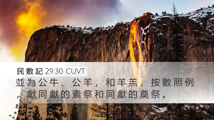 民 數 記 29:30 CUVT Desktop Wallpaper - 並 為 公 牛 、 公 羊 ， 和 羊 羔 ， - Desktop Bible Verse Wallpaper