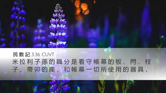 民 數 記 3:36 CUVT Bible Verse Image