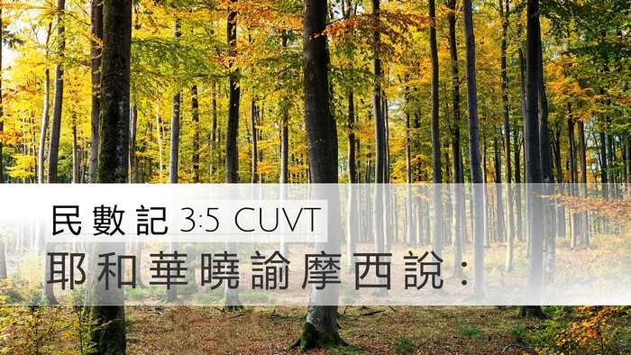 民 數 記 3:5 CUVT Bible Verse Image