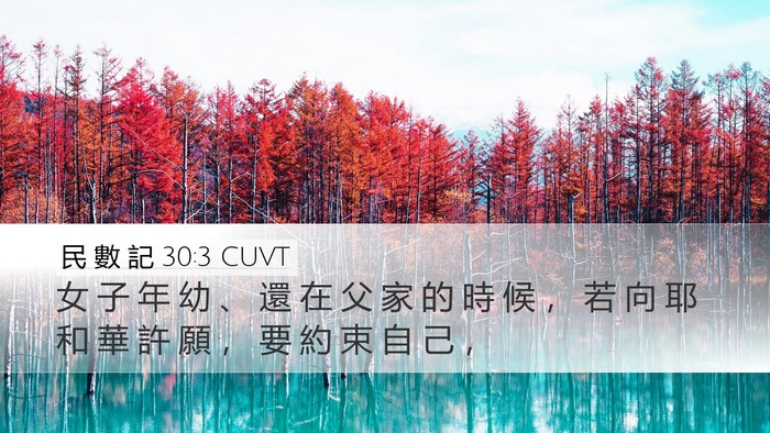 民 數 記 30:3 CUVT Bible Verse Image