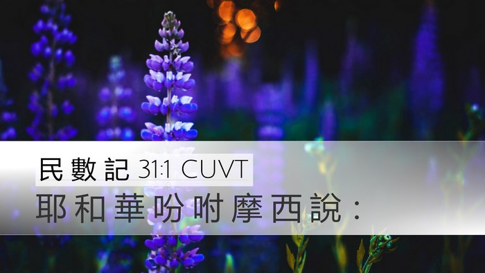 民 數 記 31:1 CUVT Bible Verse Image
