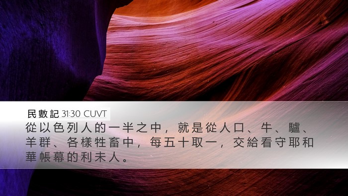 民 數 記 31:30 CUVT Desktop Wallpaper - 從 以 色 列 人 的 一 半 之 中 ， 就 - Desktop Bible Verse Wallpaper