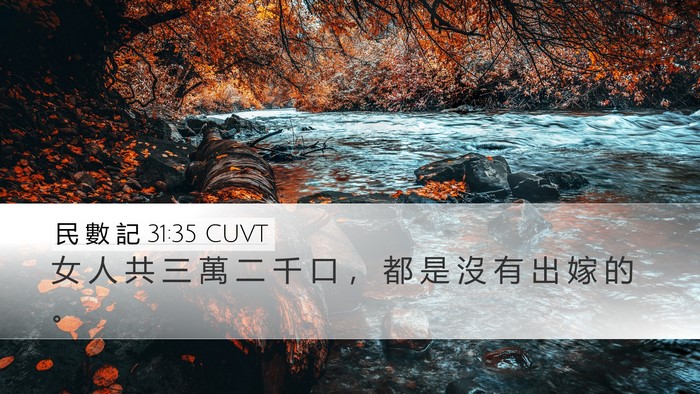 民 數 記 31:35 CUVT Desktop Wallpaper - 女 人 共 三 萬 二 千 口 ， 都 是 沒 - Desktop Bible Verse Wallpaper