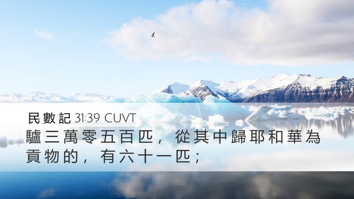 民 數 記 31:39 CUVT Desktop Wallpaper - 驢 三 萬 零 五 百 匹 ， 從 其 中 歸 - Desktop Bible Verse Wallpaper