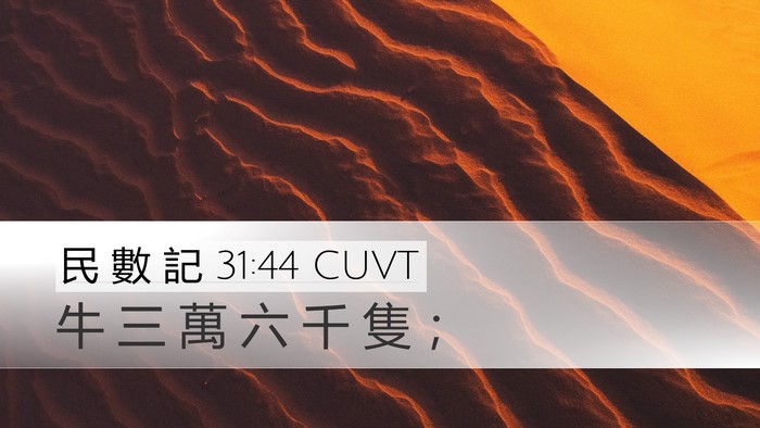 民 數 記 31:44 CUVT Desktop Wallpaper - 牛 三 萬 六 千 隻 - Desktop Bible Verse Wallpaper